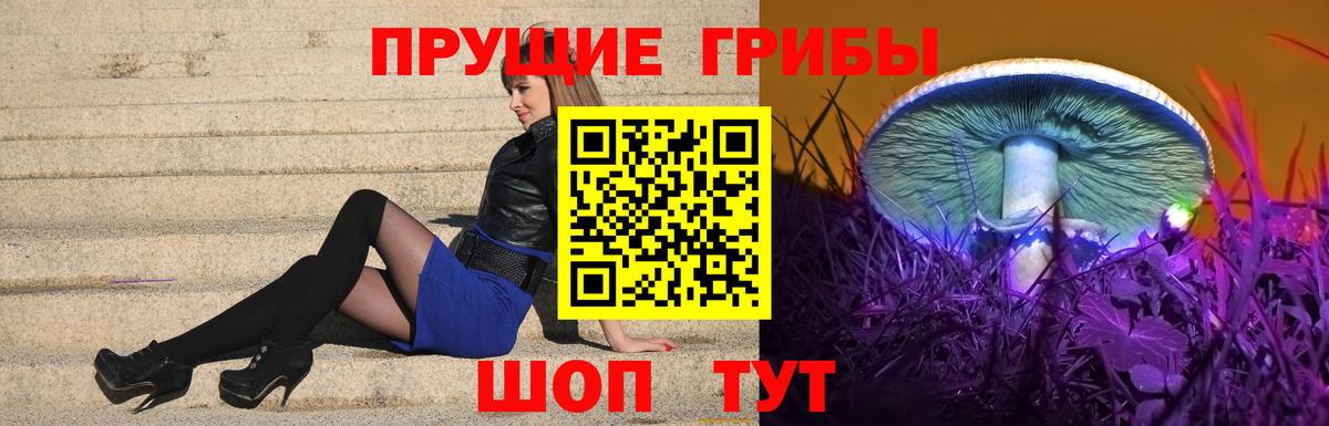 Псилоцибиновые грибы мицелий  Псилоцибиновые грибы ЛСД  Арсеньев  Вход с VPN 